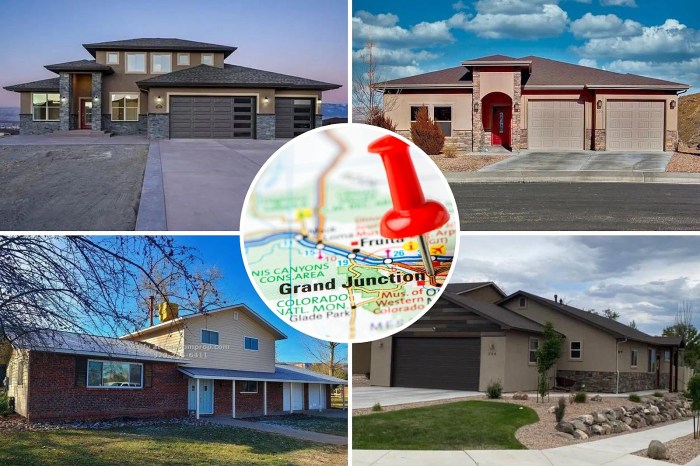 Houses for rent grand junction